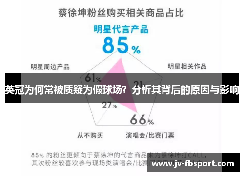 英冠为何常被质疑为假球场？分析其背后的原因与影响