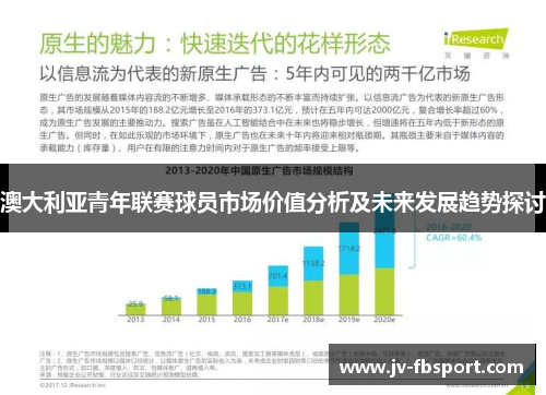 澳大利亚青年联赛球员市场价值分析及未来发展趋势探讨 澳大利亚青年联赛球员市场价值分析及未来发展趋势探讨